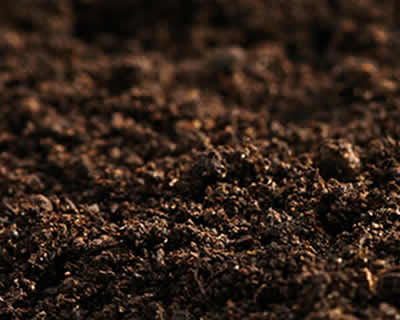Landscape Materials: Topsoil and Compost
