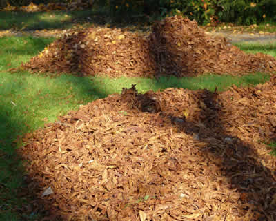 Landscape Materials: Mulch