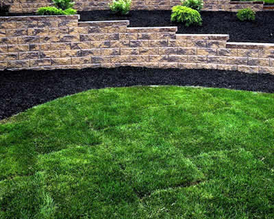 Belgium Pro Lawn Installation for Healthy Growth