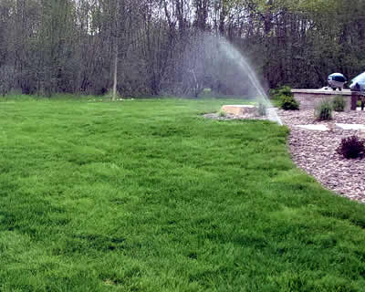 New Lawn Installation Sheboygan